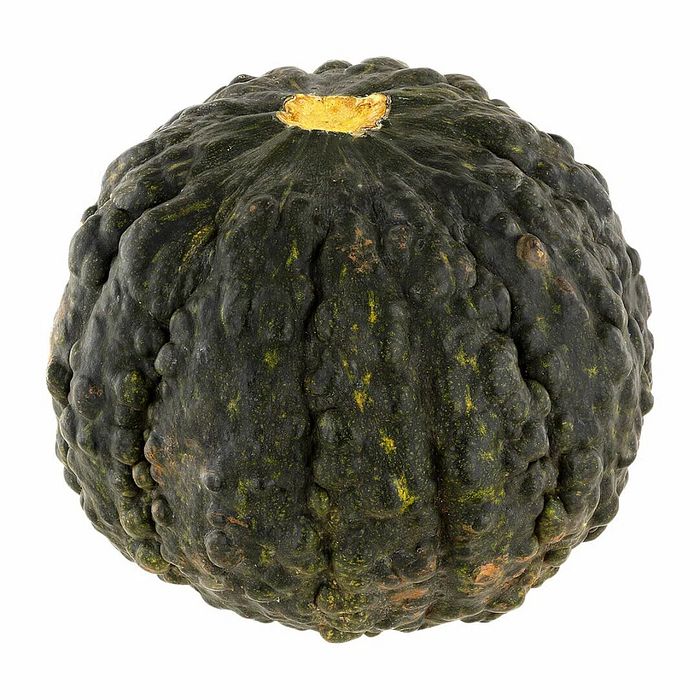 Abobora Cabotiã INTEIRA Orgânica  - POR KG (VALOR FINAL MUDA)