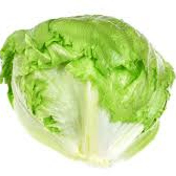 Alface Americana Orgânico