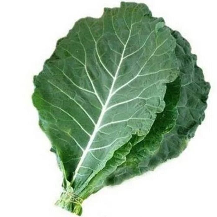 Couve Manteiga Orgânica