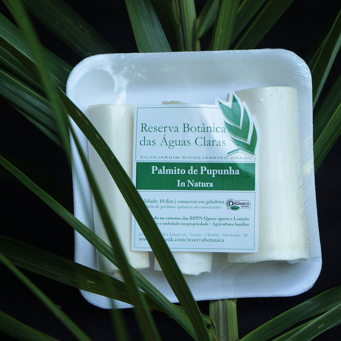 Palmito de Pupunha in natura