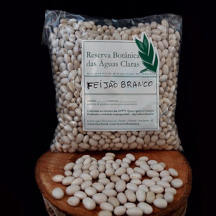 Feijão Branco