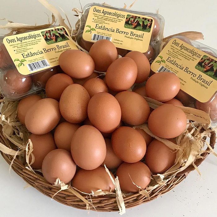 Ovos Agroecológicos