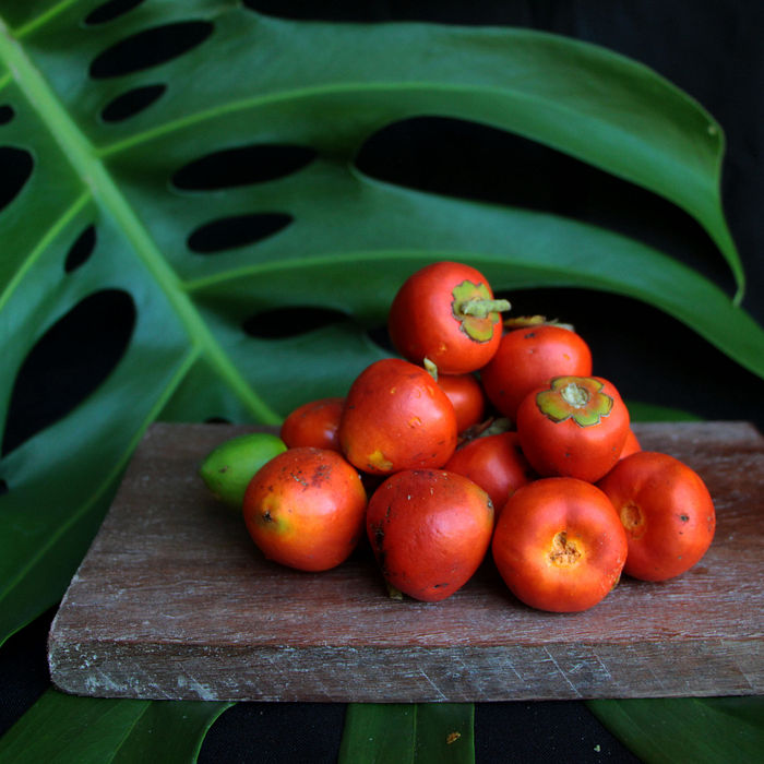 Fruto de Pupunha in Natura - Reserva Botânica