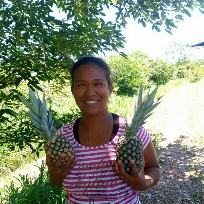 Abacaxi - Sítio Capixaba