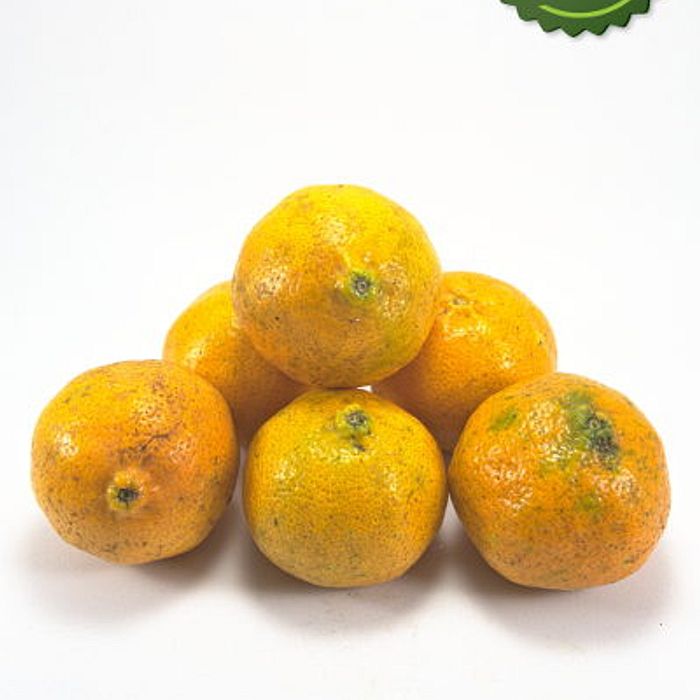 Bergamota montenegrina 1kg