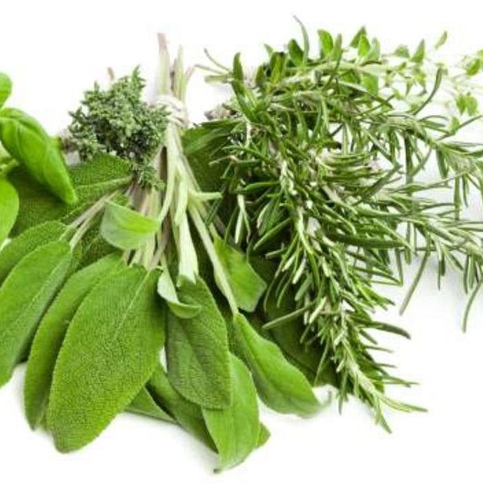 Mix alecrim, salsa e sálvia