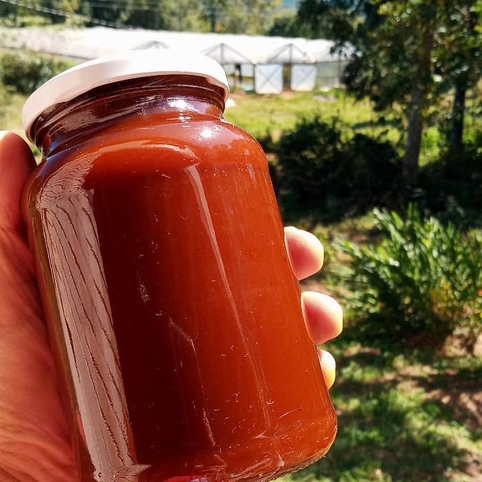 Molho de tomate caseiro 580g