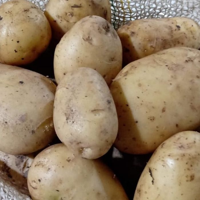 Batata inglesa 600g