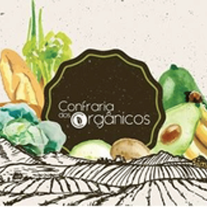 Cesta Quatro&Quatro avulsa