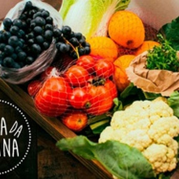 Cesta Básica Assinatura