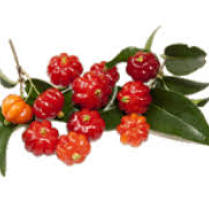 Pitanga Congelada (pct 500 g)