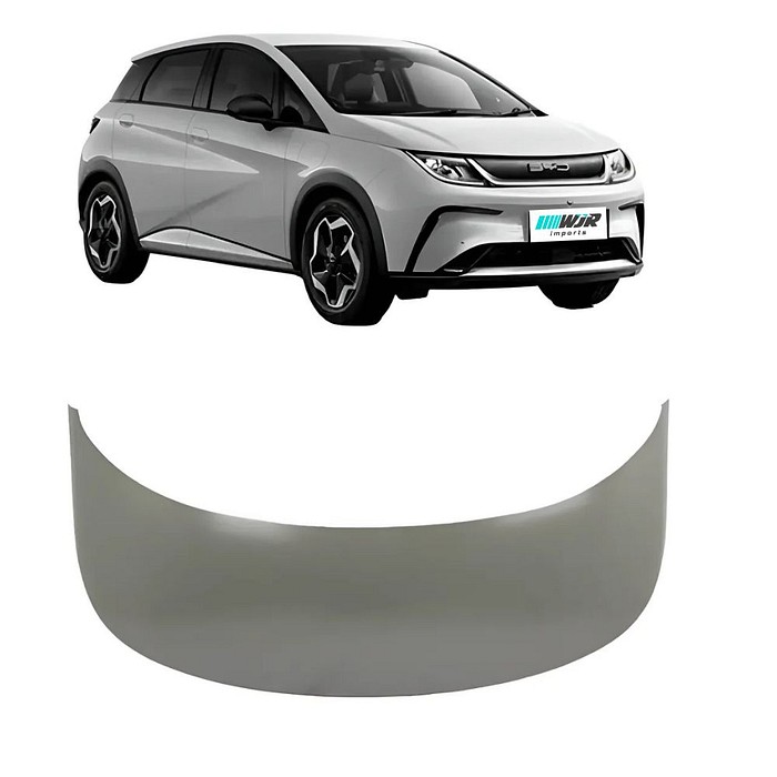 Capo BYD Dolphin 2023 2024