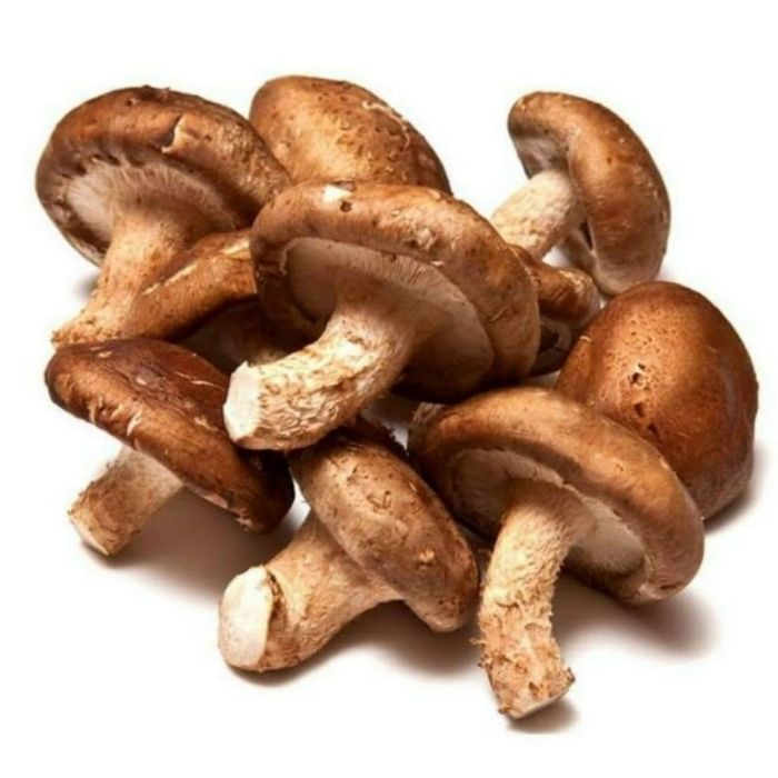 Cogumelo Shiitake Orgânico - 180G