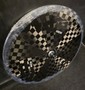 ENVE SES Disc