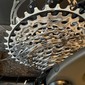 Cervélo P-Series Disc