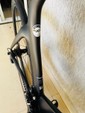 Cervélo P-Series Disc