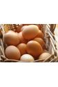 Ovos Caipira com 10 unidades  (Produção Própria )