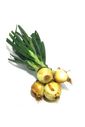 Cebola Maço Orgânica 500 g