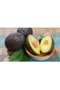 Avocado Orgânico kg