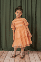 Vestido de tule poá veludo Vestido de tule poá veludo