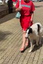 Saia Curta Franjas Ornella Vermelho
