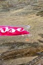 CONJUNTO: TOP SIMPLE E CALCINHA SUZY RED+PINK CONJUNTO: TOP SIMPLE E CALCINHA SUZY RED+PINK