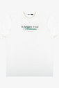 Camiseta Menino Manga Curta Minty Camiseta Menino Manga Curta Minty