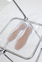 sapatilha-feminina-transparente-gummy Par da Sapatilha Feminina Transparente - Gummy em still editorial, apoiado sobre um carrinho de metal cromado com detalhes de vidro.