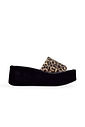 ADELE - TAMANCO FLATFORM FEMININA TIRA VINIL ANIMAL PRINT ADELE - TAMANCO FLATFORM FEMININA TIRA VINIL ANIMAL PRINT
