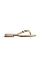 BRUNA - RASTEIRA FEMININA SALTO BAIXO OFF WHITE BRUNA - RASTEIRA FEMININA SALTO BAIXO OFF WHITE