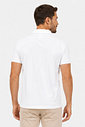 Polo Masculina em Malha Piquet Diametro Polo Masculina em Malha Piquet Diametro