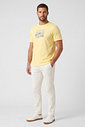 Camiseta Masculina Meia Malha Diametro Camiseta Masculina Meia Malha Diametro