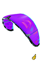 Kite Duotone Evo 2026