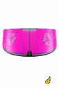 Kite Duotone Neo 2027