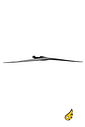 Front Wing Carve 3.0 D/LAB