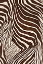 Calça lenço zebrado marrom e bege Calça lenço zebrado marrom e bege