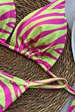 Biquíni Cortininha e Fita Zebra Pink