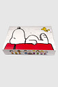 CAIXA PERSONALIZADA SNOOPY CAIXA PERSONALIZADA SNOOPY