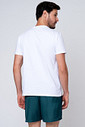 SAMBA CANÇÃO MASCULINA TOQUE DE SEDA - CLÁSSICO ACETINADO GREEN LUCK COSTAS