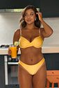 ARO CAJU - AMARELO ARO CAJU - AMARELO