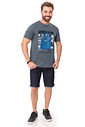 Camiseta Masculina Skate Boarding Cinza