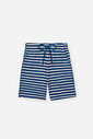 Conjunto Infantil Camiseta Waffle e Bermuda Listrada Denim