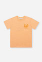 Camiseta Infantil Menino Flamê de Caranguejo Laranja