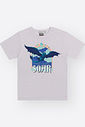 Camiseta Dragon Infantil Menino SOAR Divertto
