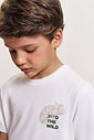 Conjunto Infantil Camaleão com Camiseta e Bermuda Musgo