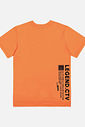 CAMISETA LJ NECTARINE