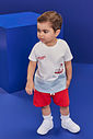 Conjunto Bebê Menino Camiseta Urso de Férias e Bermuda Vermelho