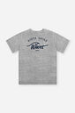 Camiseta Infantil Menino Waves em Meia Malha Mescla
