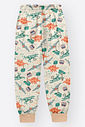 Pijama de Inverno Infantil Menino Dino World Divertto CINZA CROMIO