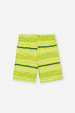 Conjunto Infantil Camiseta Summer e Bermuda Listrada Citrus